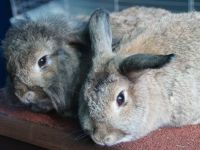 Bram en Katrien