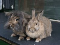 Bram en Katrien