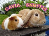 Snuffie