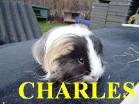 Charles 19 janunari