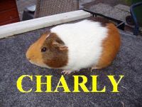 Charly 19 januari