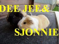 Deejee en Sjonnie