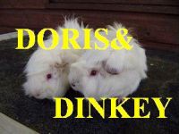 Doris