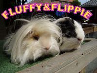 Fluffy en Flippie