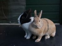 Maxime en Frieda