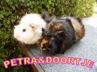 Petra en Doortje