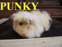 Punky