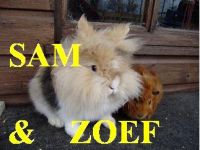 Sam en Zoef