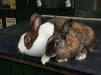 Bessam en Lieke