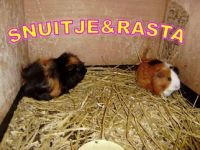 Snuitje en Rasta