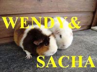 Wendy en Sacha