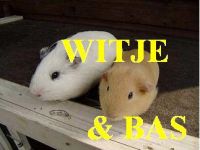 Witje en Bas